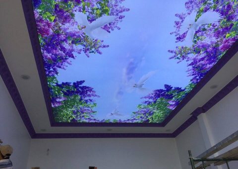 TRẦN XUYÊN SÁNG BIÊN HÒA