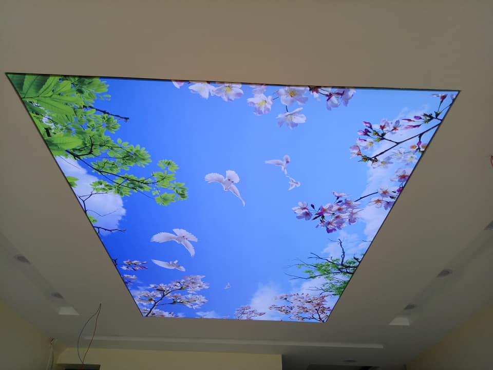 Trần xuyên sáng phòng khách